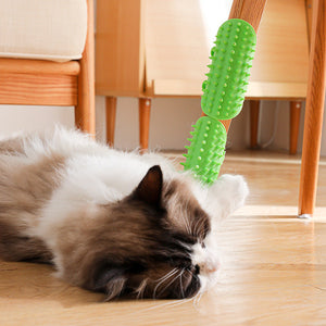 Pet Anti-Itch Brush