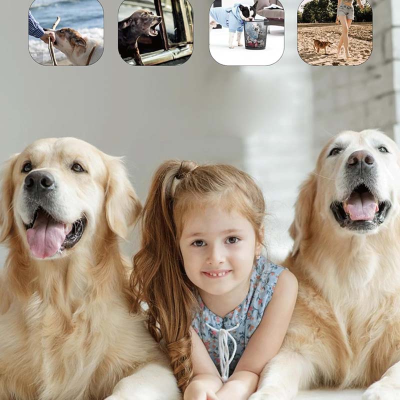 Ultrasonic dog repeller